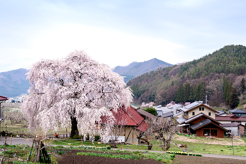 山田温泉山田館