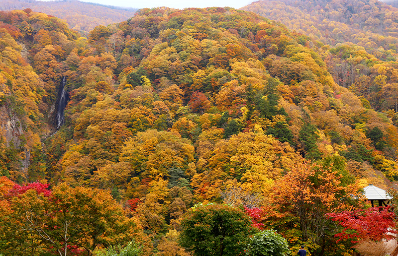 山田温泉山田館