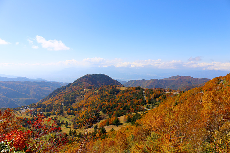 山田温泉山田館