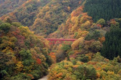 高井橋の紅葉