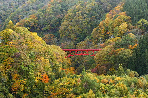 お知らせ 公式 松川渓谷に佇む宿 信州山田温泉 山田館 宿泊予約は公式ベストレート保証