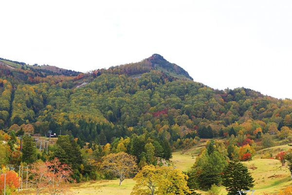 お知らせ 公式 松川渓谷に佇む宿 信州山田温泉 山田館 宿泊予約は公式ベストレート保証 お知らせ 公式 松川渓谷に佇む宿 信州山田温泉 山田館 宿泊予約は公式ベストレート保証