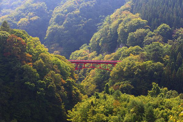 お知らせ 公式 松川渓谷に佇む宿 信州山田温泉 山田館 宿泊予約は公式ベストレート保証 お知らせ 公式 松川渓谷に佇む宿 信州山田温泉 山田館 宿泊予約は公式ベストレート保証