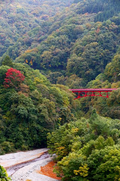 お知らせ 公式 松川渓谷に佇む宿 信州山田温泉 山田館 宿泊予約は公式ベストレート保証