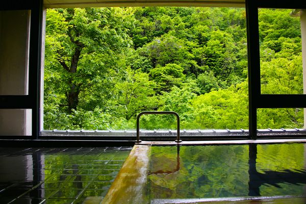 新緑と山田の湯