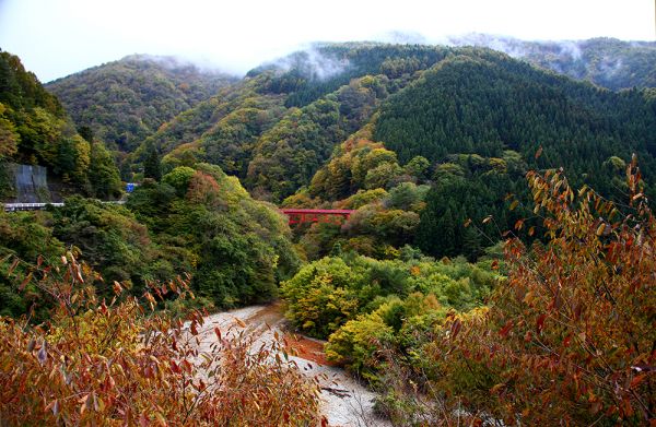 山田温泉　松川渓谷紅葉情報2021年