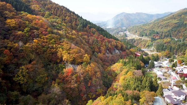 今日の松川渓谷山田温泉の紅葉