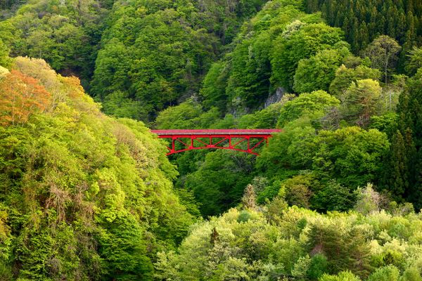 ここにしかない風景