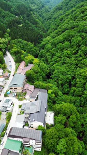 深緑の山田温泉