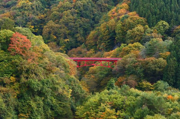 松川渓谷紅葉