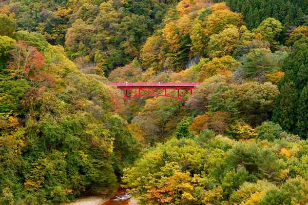 松川渓谷紅葉情報