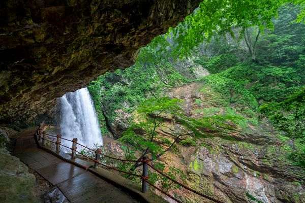 雷滝・舞の道オープン