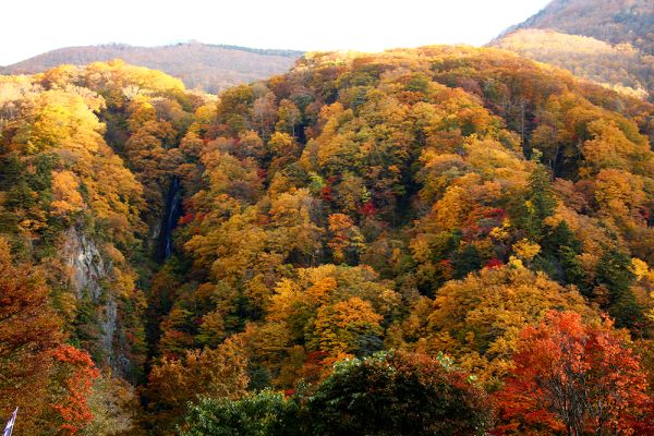 松川渓谷八滝の紅葉