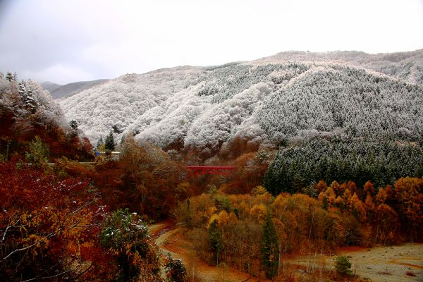 初雪