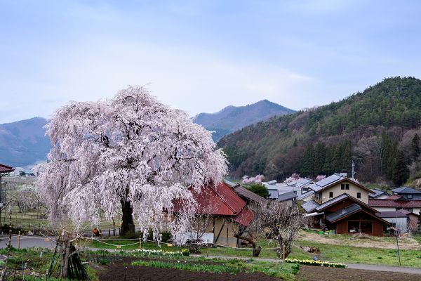 山田温泉山田館