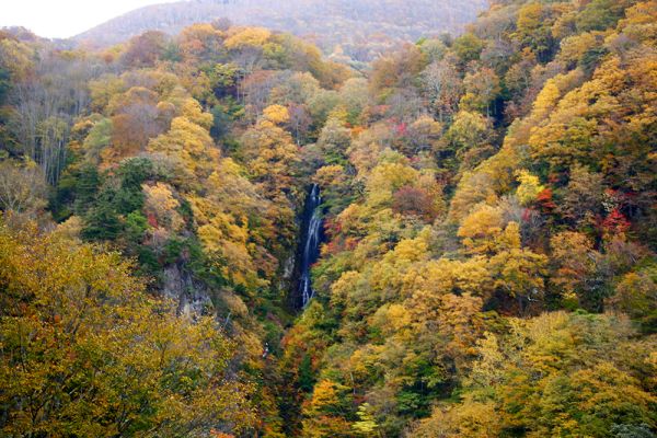 10月29日松川渓谷紅葉情報