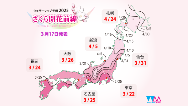 さくら開花前線2025年