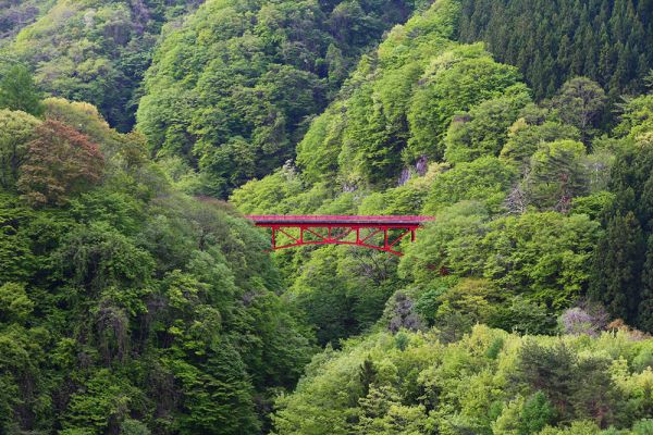 山田温泉山田館