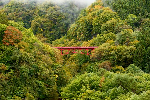 松川渓谷紅葉情報（10月19日現在）