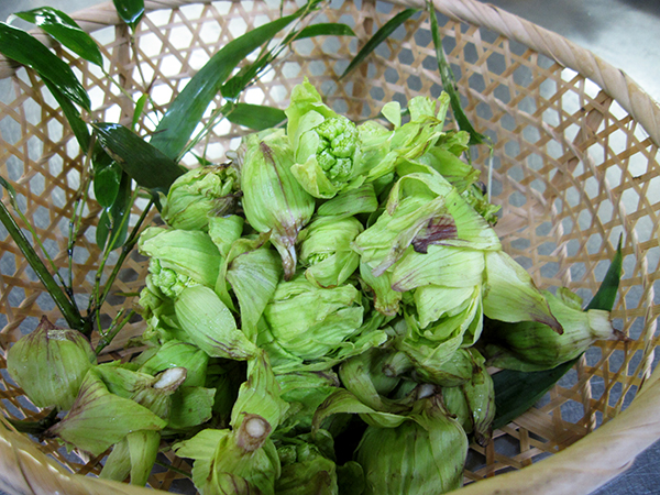 山田温泉山田館